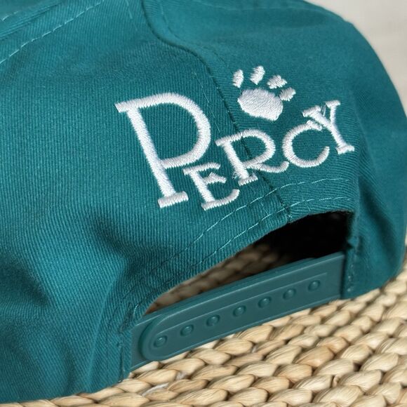 Vintage 90s Disney Pocahontas Percy Pug Hat Teal Snapback Embroidered NWOT Rare - Picture 7 of 10